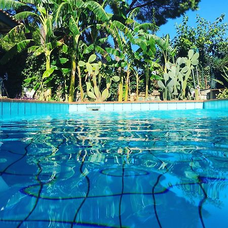 Oasi Del Gabbiano Bed and Breakfast Συρακούσες Εξωτερικό φωτογραφία