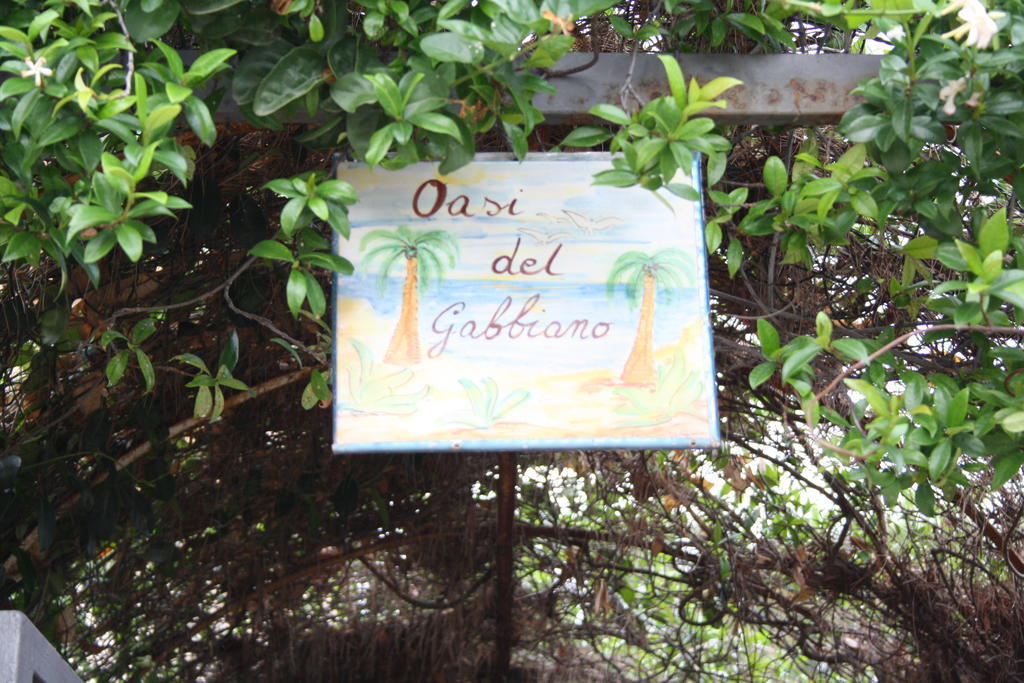 Oasi Del Gabbiano Bed and Breakfast Συρακούσες Εξωτερικό φωτογραφία