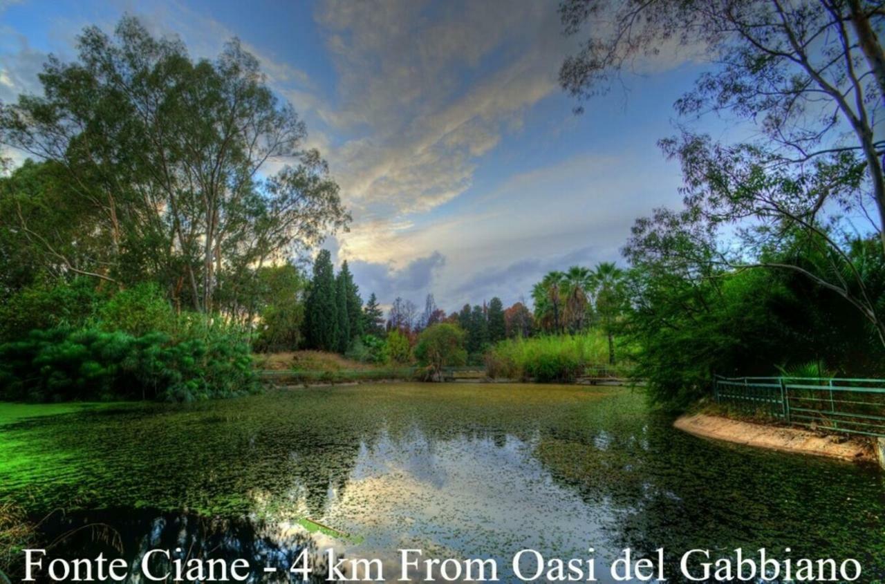 Oasi Del Gabbiano Bed and Breakfast Συρακούσες Εξωτερικό φωτογραφία